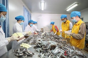 南宁疫情防控工作领导小组指挥部，筑牢疫情防控的坚固防线