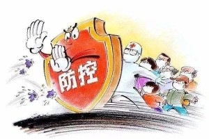 云南省役情，历史背景、现状分析与防控措施
