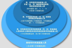 重庆市疫情防控中心官网，权威信息发布与便民服务指南