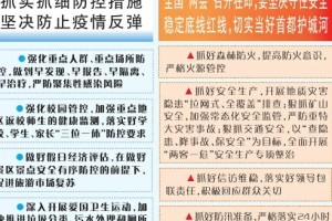 山西省应对疫情，精准防控与民生保障的双重实践