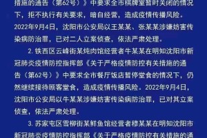 沈阳疫情最新消息，溜达鸡现象引发市民热议与防控思考