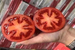 陕西省三类人员管理系统，数字化赋能建筑行业安全监管