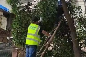 疫情下南京物业费缴纳指南，北京居民能代缴吗？