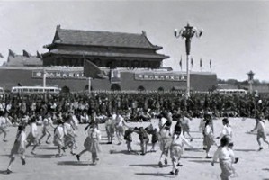 上海疫情中的无名英雄，一位社区主任的坚守与担当