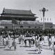 上海疫情中的无名英雄，一位社区主任的坚守与担当
