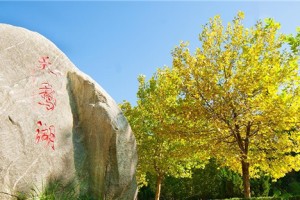 郑州师范学院各院系联系电话一览（2023最新版）