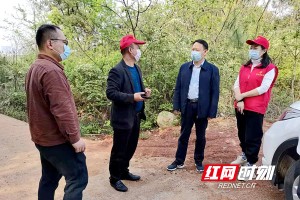 上海疫情与长沙疫情对比分析，最新动态、防控措施与未来趋势