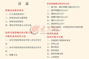 新疆乌鲁木齐最新疫情动态，防控措施与市民应对指南