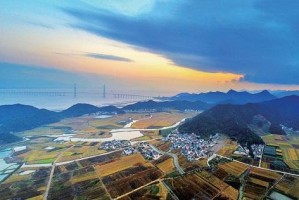 石家庄村委，乡村振兴的基层力量与创新实践