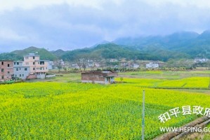 陕西丰源村现状调查，乡村振兴下的机遇与挑战