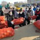 2023年最新上海到拉萨防疫要求，出行前必看指南