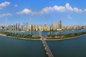 上海疫情措施，精准防控与城市韧性的双重考验
