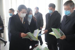 长春疫情现状如何？最新数据与防控措施全面解析