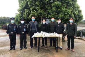 上海新冠疫情最新动态与长沙防控措施对比分析