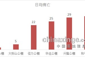 太原封城时间及甘肃省疫情最新数据解析