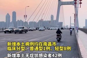 上海市与南昌市疫情最新动态，防控措施与现状分析