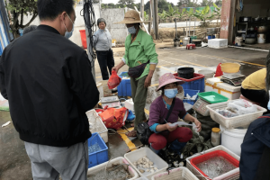重庆疫情防控局，守护山城健康的坚实防线