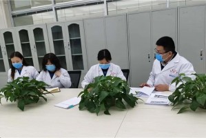 青海省最新疫情通知与广州防控措施动态更新