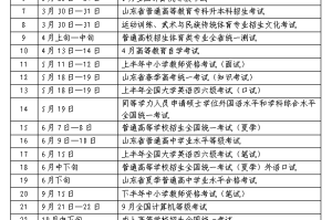 2024年山东省申论考试时间全解析，备考黄金期如何高效利用