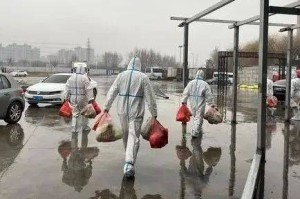 长春市疫情封城，防控措施、民生保障与社会影响深度解析