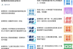 重庆防疫办官网，权威防疫信息一站式获取指南