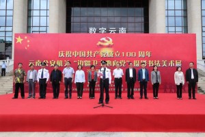 云南省疫情防控措施，科学精准施策，筑牢边疆安全屏障