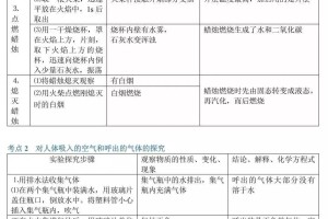 山东省考应届生比例，政策解读与备考建议