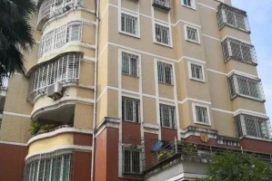 丰源新村，陕西省乡村振兴的璀璨明珠