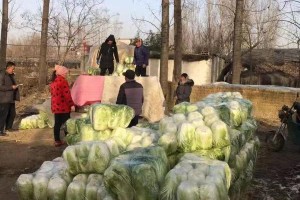 山东支援石家庄了吗？两地互助情谊深