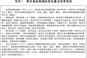 山东省考申论时间分配，高效策略助你稳拿高分