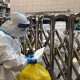 上海疫情最新动态，防控措施升级与市民生活调整
