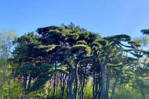 长春机场疫情管控新举措，筑牢空中防线，保障旅客安全