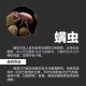 山东济南封城消息真假解析，官方回应与市民应对指南