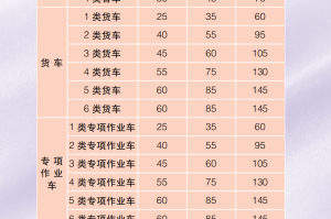 最新上海疫情防护公告，市民必读的防疫指南与措施详解