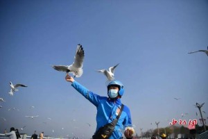 济南与昆明最新疫情动态，两地防控措施对比及出行建议