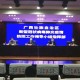 上海疫情最新动态，防控措施、数据解读与未来展望