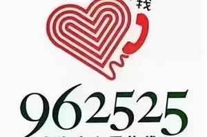 上海疫情防控中心电话全指南，关键时刻的救命热线