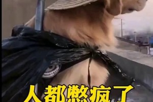 疫情最新动态，合肥封城了吗？长春有疫情吗？