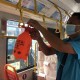 青海省疫情最新动态与南宁市防控措施对比分析