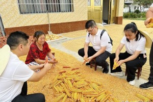 陕西省近三年财政支出分析，趋势、重点与未来展望