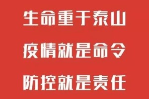 上海市24小时疫情防控咨询电话全指南，守护您的健康安全