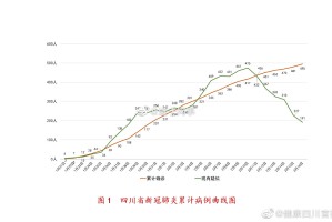 重庆成都疫情最新动态，防控措施与市民生活影响深度解析