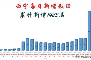 青海省西宁市疫情最新动态，防控措施、现状分析与未来展望