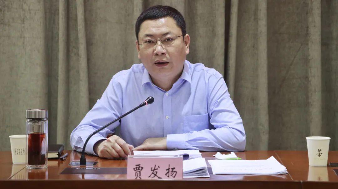独家重庆疫情新闻发布会视频全解析，关键信息与市民应对指南