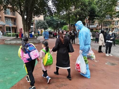重庆疫情权威发布，最新动态与防控指南
