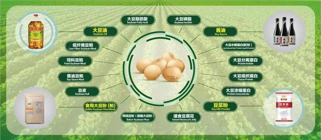 重庆疫情与南京有关吗？深度解析两地疫情关联性