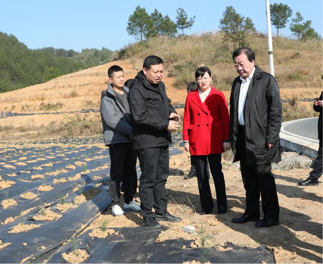 重庆疫情官网，权威信息发布与便民服务指南