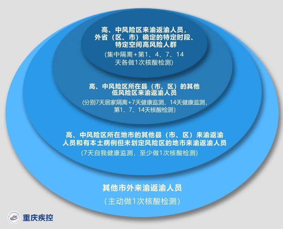 重庆市政府官网疫情发布，权威信息平台与市民健康守护者