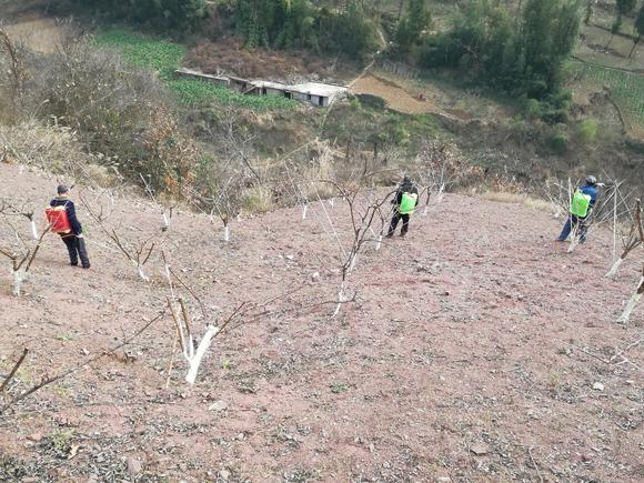 重庆市疫情活动轨迹深度解析，关键地点与防控建议