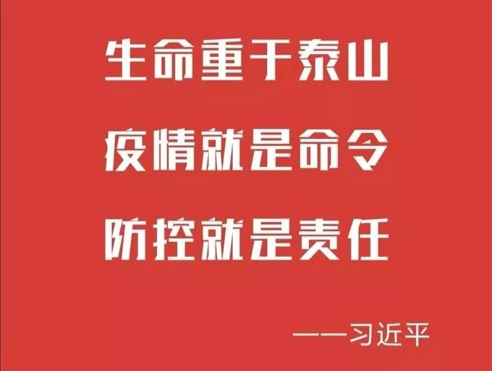 重庆市疫情防控最新政策，全面优化措施助力复工复产